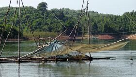 image-37
